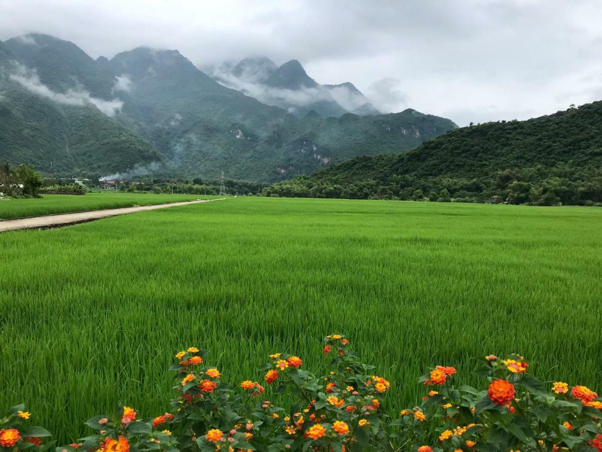 ホテル Jomo House Mai Chau Hòa Bình エクステリア 写真
