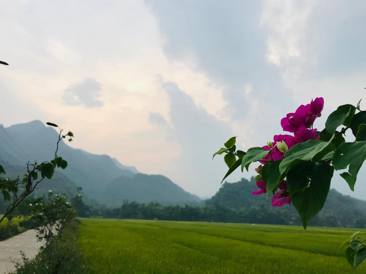 ホテル Jomo House Mai Chau Hòa Bình エクステリア 写真