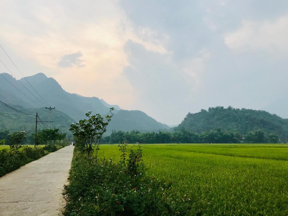 ホテル Jomo House Mai Chau Hòa Bình エクステリア 写真