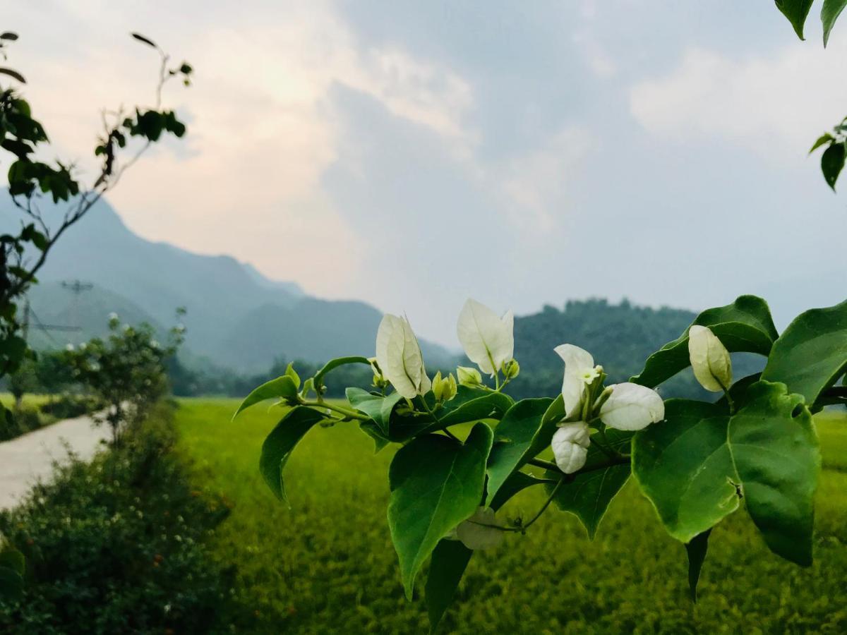 ホテル Jomo House Mai Chau Hòa Bình エクステリア 写真